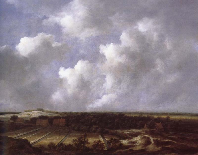 Jacob van Ruisdael View of the Dunes near Bl oemendaal with Bleaching Fields